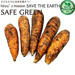 Dt ɂ񂶂 _E엿sgp kCY ӒV lQ jW SAFE GREENF Z[tO[Fؖ