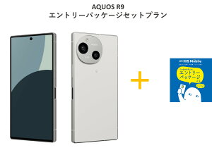 yVi!!z AQUOS R9 Vi{Gg[pbP[Wi萔3,300j{WjA[h{APNݒϒ[tv X}z { SIMt[ Zbg  12GB Xg[W 256GB h 