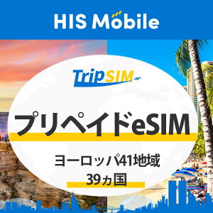 yz[bp41n 39 Orange 30 6GB 10GB 20GB vyCh eSIM g؂ COs ό w o o^ȒP rWlX gx QRR[h f[^p eUO ^ubg e-sim