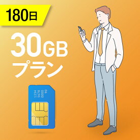 【送料無料】30GB/180日 プリペイドSIMカード 使い捨てSIM データ通信sim docomo MVNO 回線 4G/LTE対応 長期利用 日本 国内利用