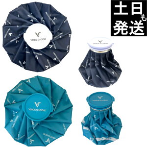 {CXLfB XX X̂ ACXobO ACVO 25cm VOICE CADDIE {㗝X ЂX|[c bsO