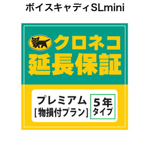 {CXLfBSLminip NlRۏ v~A Piws