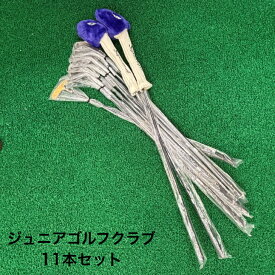 ゴルフクラブセット ジュニア 11本 (1W,4W,#4~9,P,S,PT)ゴルフ クラブ 子ども用