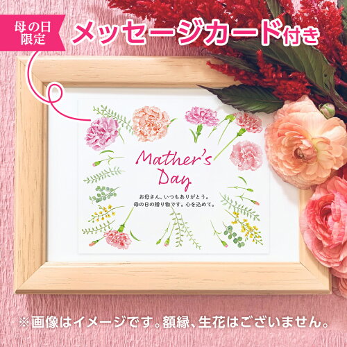 楽天市場 母の日 早割 ソープフラワー アレンジボックス 全2色 ギフト マゼンタ ピンク 博多久松 花束 送料無料 お取り寄せ 母の日 21 プレゼント ギフト 博多久松