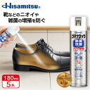 【99.9%除菌！】革靴・スニーカーの臭い対策に！ ブテナロック 除菌抗菌スプレー180ml×5本 99.9%除菌 除菌 除菌スプレー 抗菌 抗菌スプレー 除菌抗菌スプレー 除菌抗菌 靴の臭い 対策 消臭 靴 消臭スプレー 消臭剤 除菌 安全靴 日本製 久光製薬