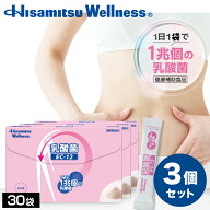 【まとめ買い】【1兆個の乳酸菌で腸活！】乳酸菌(EC-12)30袋×3個 乳酸菌 フェカリス菌 サプリメント 乳…