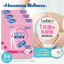 【まとめ買い】【4粒で1兆個の乳酸菌】乳酸菌チュアブル 120粒×3袋 乳酸菌 フェカリス菌 サプリメント 乳酸菌サプリメント 乳酸菌サプリ サプリ タブレット ビフィズス菌 ヨーグルト 腸内フローラ 腸活 腸活サプリ【久光製薬公式】