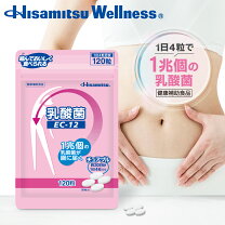 楽天市場】11-1 乳酸菌の通販