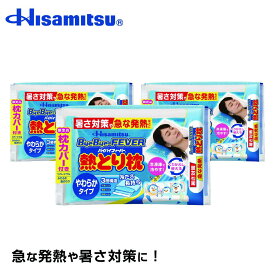 【まとめ】バイバイフィーバー熱とり枕×3個【久光製薬公式】送料無料