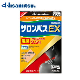 【第2類医薬品】サロンパスEX 温感 20枚