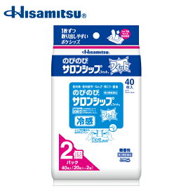 【第3類医薬品】のびのびサロンシップ フィット 40枚