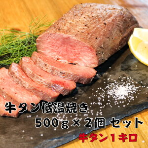 ^ቷĂ 500O` Ⓚ ^ Mtg ubN ^ ^   ^ XCX ؂苍^ ؂^ ؂苍^ ؂ ؂ Ԃ ^  hV