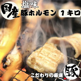 【今だけセール500円OFF】国産 豚 ホルモン 塩味 1キロ 250g×4パック ニンニク塩味 焼肉 タレ 豚ホルモン ホルモン焼き 国産ホルモン 美味しい バーベキュー 塩ホルモン おつまみ お取り寄せ グルメ 肉 味付 冷凍食品 おかず 味付け肉 贈り物 敬老の日 父の日 お中元