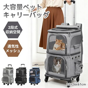 yX[p[SALEőX15OFFz L 2 C L[ bN LX^[t ^  L[ J[g 2i ybg lR  g[obO e ʋC s/ʉ@/ʋ@/ЊQp O