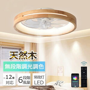 Viss-15%OFF V[Ot@ VR V[Ot@Cg t@t LED V[OCg Ebh ^ 8 10 12 Px VƖ Ɩ  F 铔 @\ ^C