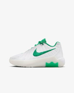 NIKE iCL LeBron Witness 9 (GS) u EBbglX oXPbg{[ V[Y LbY C@񂹏i