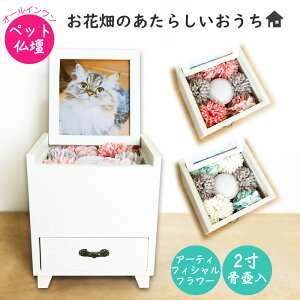 ybgd@Ԕ̂炵@zCgy~j@ʐ^ā@tHgt[@ybg{@茳{@⍜@с@i@@ybg@̋@@L@@n
