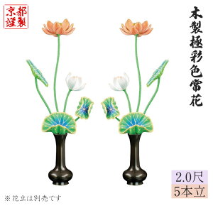 ؐɍʐF 1΁y2.0(60cm) /5{zGgp {y@      y@ @ T@ @@ V@ ՍϏ@ ^@ Yz