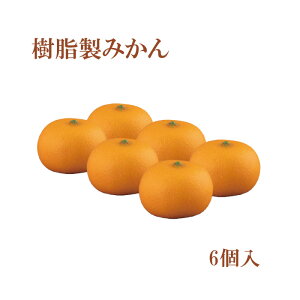 ݂(6)   䋟y @ @p @v @ 񉶍u {퐷 ~  Hi͌^ dz