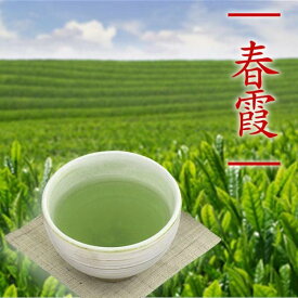 煎茶 春霞 100g 平袋入 中蒸し煎茶 一番茶 贈答 美味しい お茶 ポスト便