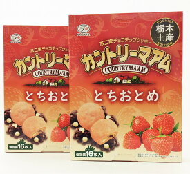 ご当地おみやげ　ご当地　地域限定商品　栃木県限定　カントリーマアム　不二家　とちおとめ　カントリーマアムとちおとめ