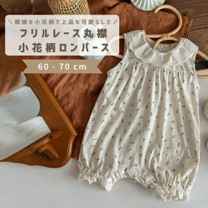 xr[ p[X Jo[I[ m[X[u j̎q ̎q xr[  ĕ qǂ q V Ԃ ۋ [X ԕ Vv  킢 oYj ؍ ؍xr[  