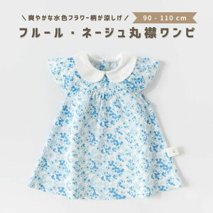 xr[ q ̎q s[X hX  ۋ tA t ԕ xr[ LbY  ĕ q i` i  킢 ؍ ؍xr[ 90 100 110