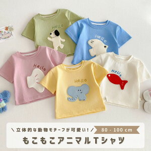 xr[ q ̎q j̎q TVc Jbg\[ Vc  xr[ LbY  ĕ qǂ gbvX  킢 Vv ؍ ؍xr[  Rbg 80 90 100