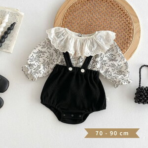 xr[ ZbgAbv uEX Tybg p[X s[^[pJ[ ԕ  ̎q ؍xr[  tH[} oYj a LO Be n[to[Xf[ 73 80 90