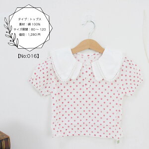 xr[ q xr[ LbY ĕ ̎q Vc uEX gbvX LbY qǂ  t H t  H  킢  Rbg  ؍ ؍xr[ 80 90 100 110 120