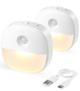 Lyridz ZT[Cg usb[d  lZT[Cg  Cg iK 铔 led tbgCg 3[h iCgCg dF ȃGl ^ L Q  Ki [ 2