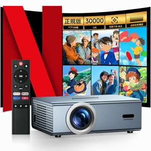 NetflixF؁EAPPp\EoCTVEDoIbyΉOWNKNEWvWFN^[ ^ ƒp30000LMPxE4kΉEgpȒPEdtH[JXEᑛ^1080p ` WiFi6 oBluetooth5.4 V䓊e Hi