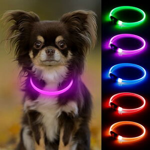 Candofly  ^ -  U Cg [d LED т포^  L  U郉Cg (sN)