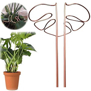 XIANFQNKJ Xe x |x ϗtA AT|[g Ԏx K[fjOx Xet[X^h _Ɨp |p iK A|h~ Ԏgp Œ\ (F)