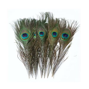 TOUFEIYUAN H ڋʉH p̉H ẺH H H ޗ f | ANZT[ ԍ t[AWg nEB h[Lb`[  _X ߑ RXv 23-33cm 10{ (10