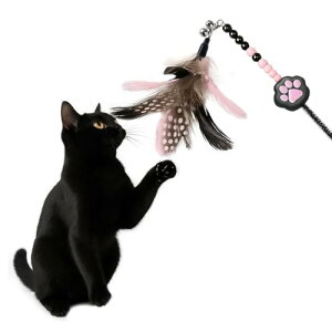 HOLYCAT L 炵 L   킢 zO L炵 H ˂ߋ VRH Ĥ lV LV  t  VR̉H ӂӂ  ^s 