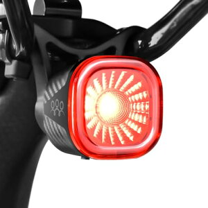 LAOPAO ] e[Cg _ X}[gu[Lx UEZT[ ] ACg X}[gf[Cg [hoCN NXoCN TCNO 50Ԏ_ 