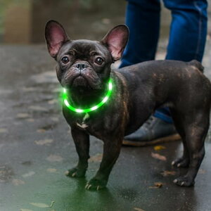 Ezierfy, TPU [d  U Cg Èł    - ^A^A^p̓_Ō Cg Up ()