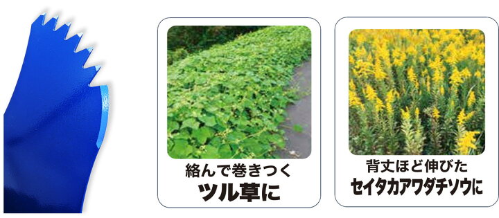楽天市場】【3枚セット☆送料無料】ツムラ ツル草三枚刃（旧 山林用三 