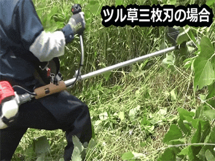 楽天市場】【3枚セット☆送料無料】ツムラ ツル草三枚刃(旧 楽天市場】【3枚セット☆送料無料】ツムラ ツル草三枚刃(旧