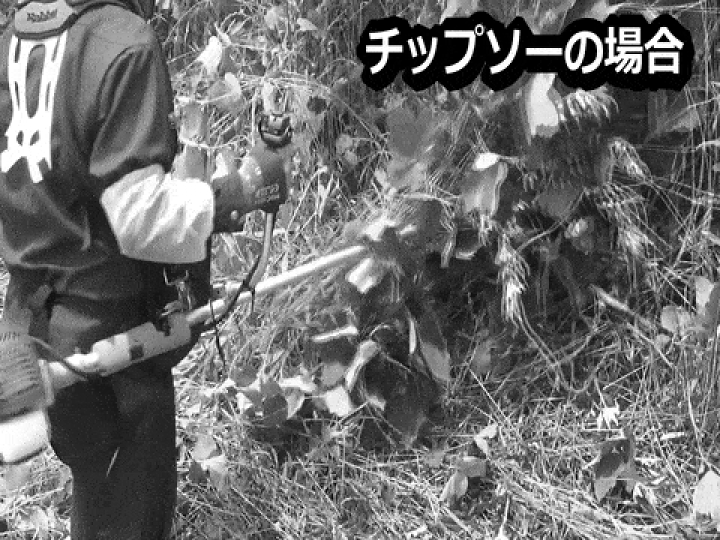 楽天市場】【送料無料】ツムラ ツル草三枚刃(旧 山林用三枚刃の 楽天市場】【送料無料】ツムラ ツル草三枚刃(旧 山林用三枚刃の