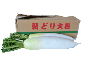 楽天市場 大根 野菜 きのこ 食品 の通販 楽天市場 大根 野菜 きのこ 食品 の通販