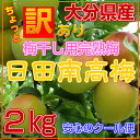 日田南高梅 (梅干し用)【大分県日田産】【訳あり】【梅干し用完熟梅】南高梅/ウメ　梅　うめ　完熟南高梅　大玉梅　梅干し用　梅　完熟梅 ランキングお取り寄せ
