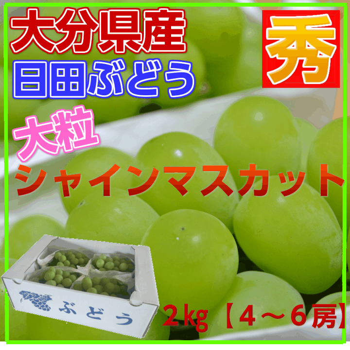 大粒シャインマスカット❣️2キロ 楽天市場】大分県日田産 シャインマスカット【大粒♪】【秀品