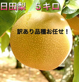 大分県産“ひた梨”※※【5玉〜22玉】【訳あり】【送料無料】たっぷり5キロ♪豊水/秋月/新高市場直送/日田梨/なし/ナシ/梨/和梨/ご自宅用/訳あり/わけあり/訳アリ/