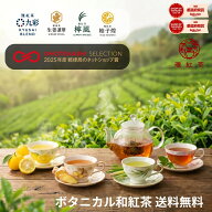 ボタニカル 和紅茶 ティーバッグ お試し セット 4種 飲み比べ 8包 1000円ポッキリ 【送料無料】 雅紅茶 …