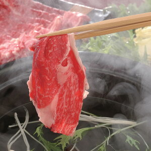 宮崎牛 しゃぶしゃぶ モモ500g | 牛 牛肉 ご当地グルメ 贈り物グルメ 送料無料 丁寧なくらし 丁寧な暮らし Luruspot