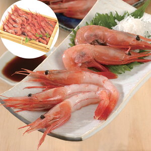 {CÂ 500g (23?30) b Mtg JȂ炵 Jȕ炵 Luruspot