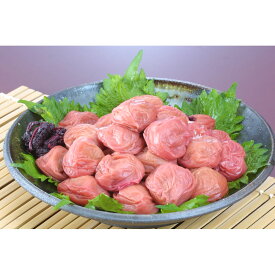 和歌山 紀州南高梅 昔風味 しそ入 500g×2 ｜ ギフト【 日田天領水 x 雅紅茶 公式店 Luruspot 】