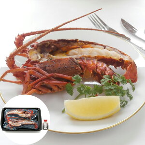  uጎv ɐCVXe[L C ( ɐɐCVXe[L1n[tJbg2؁i180g?230gjAXe[L\[X20g ) b Mtg JȂ炵 Jȕ炵 Luruspot